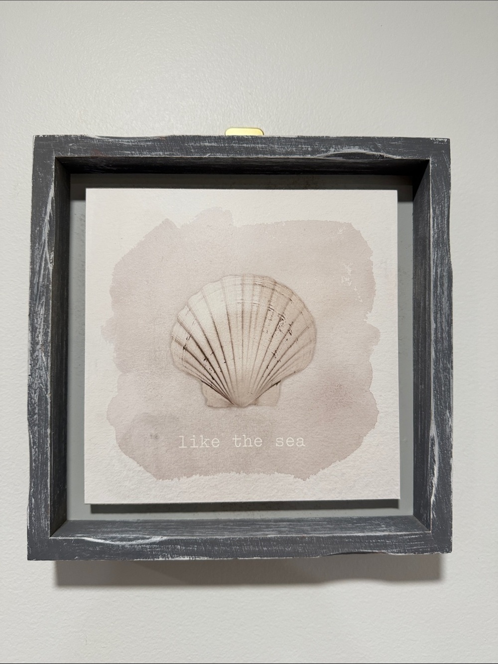 Rustic Ivory Gray Brushed Wooden Framed Seashell Art x 2 Matching 9 x 9